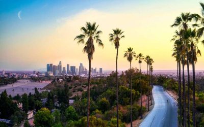 LOS ÁNGELES VUELVE Y MANEJE